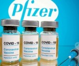   Covid-19,   Pfizer     
