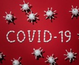 COVID-19    ,      