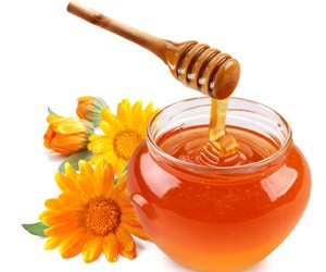 Лечение бронхита пчелиными продуктами